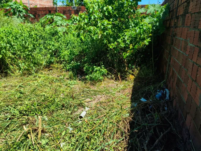limpeza de terreno retiramos entulhos