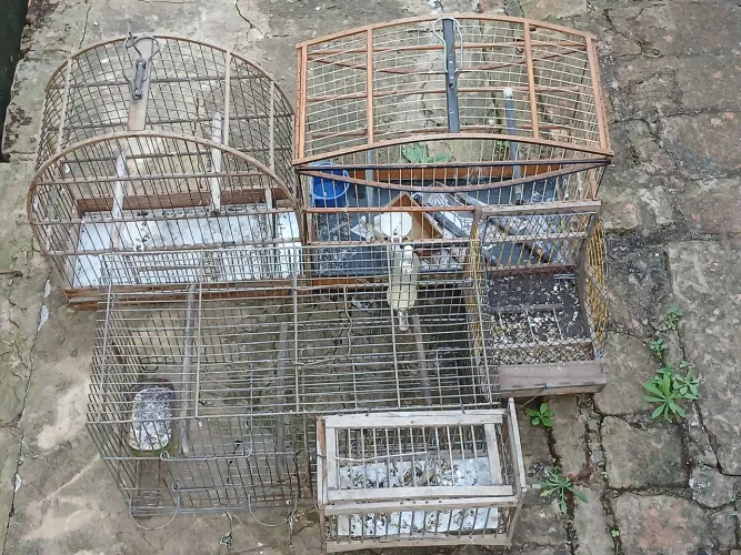 GAIOLAS PARA PÁSSAROS.