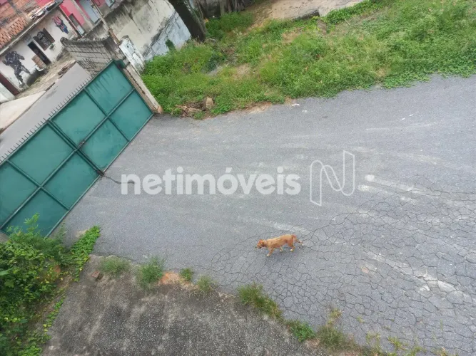 Venda Lote-Área-Terreno Goiânia Belo Horizonte
