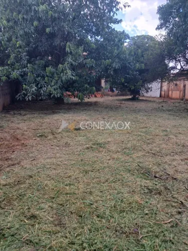 terreno - Cidade Universitária - Campinas