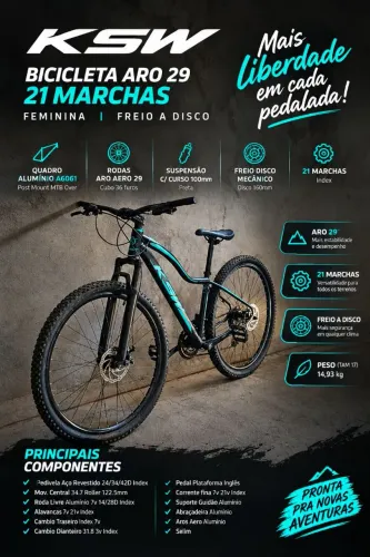 Bicicleta Feminina
