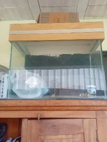 Venda de aquário para Peixes ?