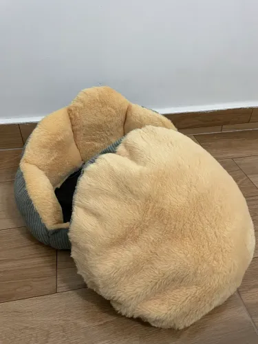 Caminha de pet