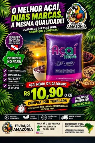 Açaí médio 