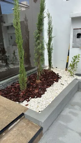 Manutenção e reforma de Jardins e poda de árvores, desenhos de pedra , planta grama etc...