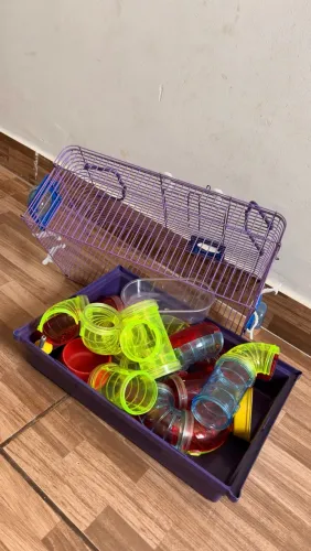 Casinha para hamster
