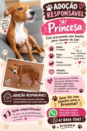 Doação
