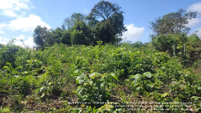 Lote em Nova União Mg