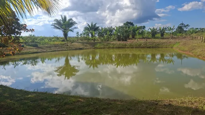 Vendo uma chacara top