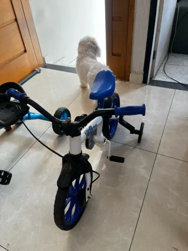 Bicicleta infantil