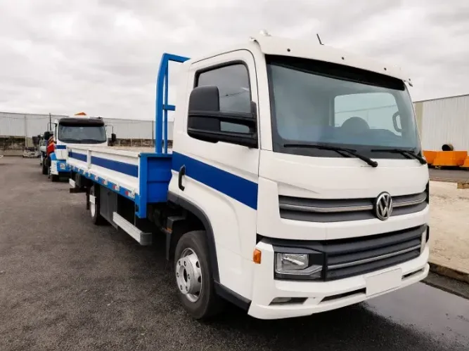 Caminhao Volkswagen Vw 9170 - 2021