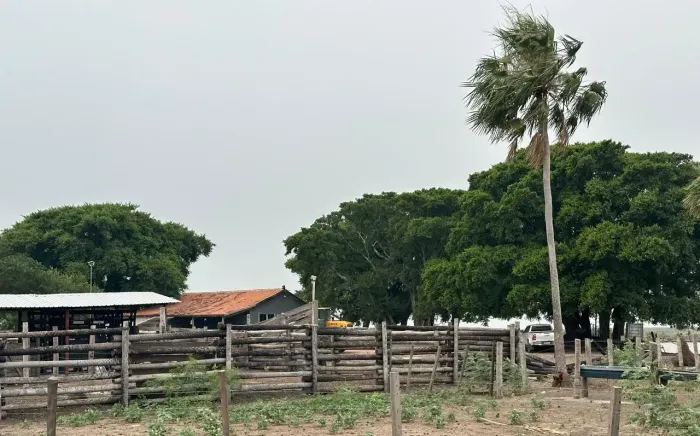 COD371- Fazenda 2.720Hectares CORUMBÁ - Pantanal/MS