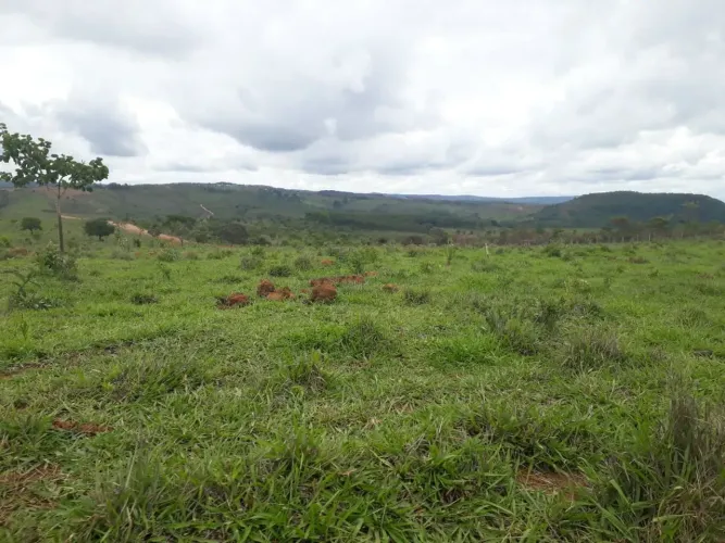 Excelentes Fazendinhas 20.000m2 Registradas, Financiadas Com Água, Luz, Cerca em Cordisbur