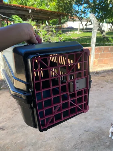 Vendo caixa transportadora Pet 