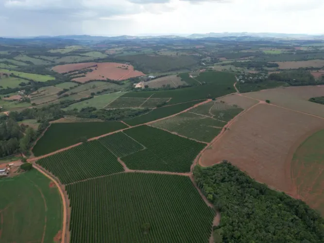 Fazenda 151 hectares em Elói Mendes/MG