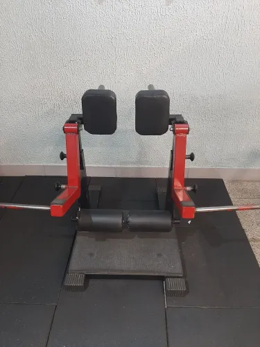 Flexora em pé