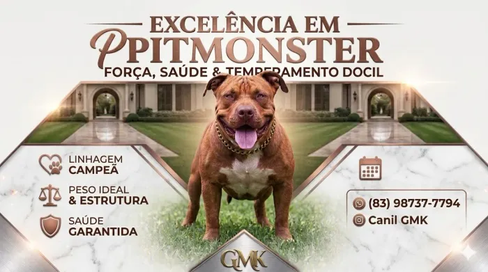 Procura de namorada para pitmonster 