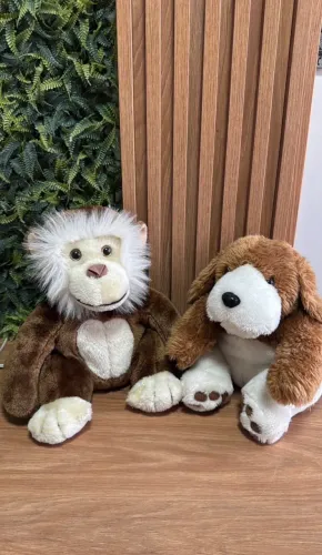 Kit com 2 Pelúcias - Macaco e Cachorro