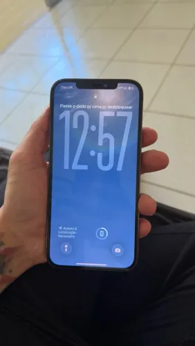 iPhone 12 Pro Max 256 Gb