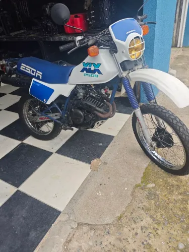 XLX 250