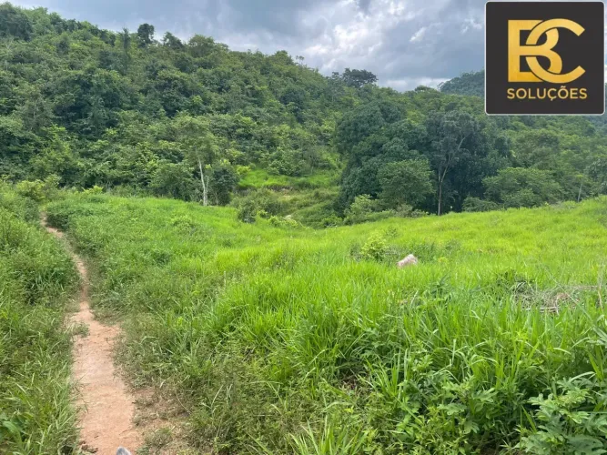 Fazenda pra pecuária no sul do Pará 
