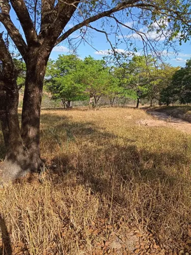Chacaras rurais em sao Gonçalo para