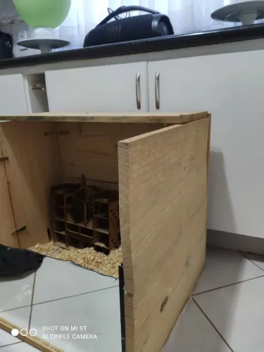 Terrário de Madeira para Hamster Sem Vidro