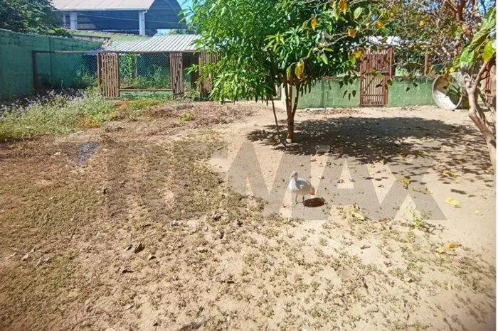 "Terreno no Morro da Penha - 302m²: Invista Já!"