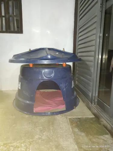 Casinha para cachorro grande feita com caixa de água