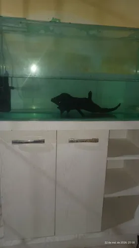 Excelente Aquário a venda