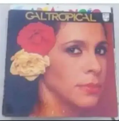 Lote de discos de vinil