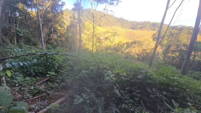 SÍTIOS 5.000m2 entre Marechal Floriano e Alfredo Chaves, parcelo, troco veículos leilão 