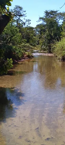 Chácaras no Girassol com terrenos planos de 2500m²