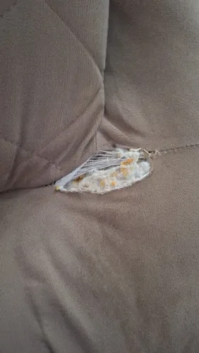 Vendo sofa retratil e reclinavel com avarias