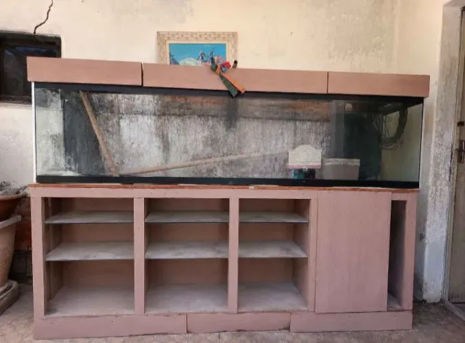 Vendo Terrário 