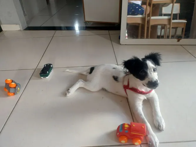 Doação 