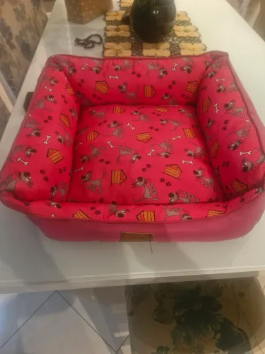 Caminha para pets