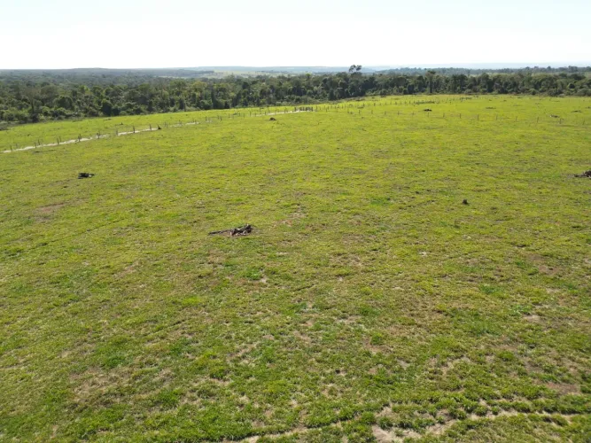 *Propriedade rural a venda em Rondônia*