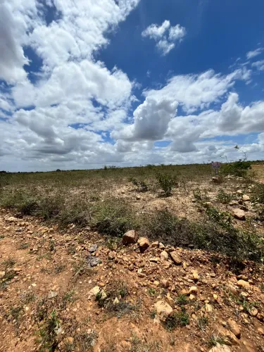 Terreno de lote em coité (19x8)