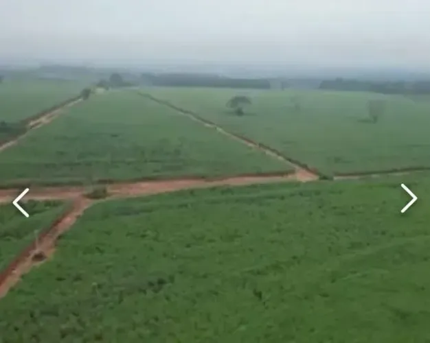 FAZENDA À VENDA  COSMORAMA/SP  APTIDAO CANA