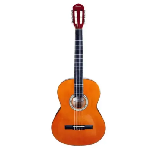 Violão Gianinni Sonic Acústico Modelo: GCX-15N (acompanha Case)