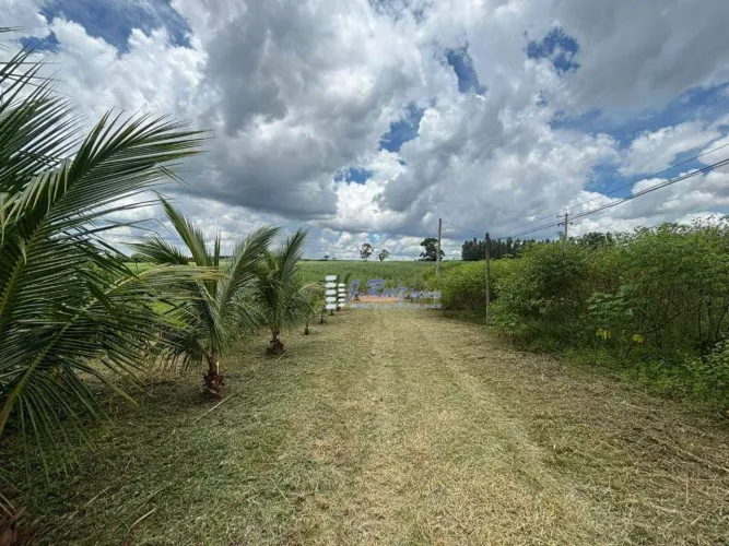 Sítio com 2 dormitórios à venda, 23000 m² por R$ 1.400.000,00 - Condomínio Veredas do Rio