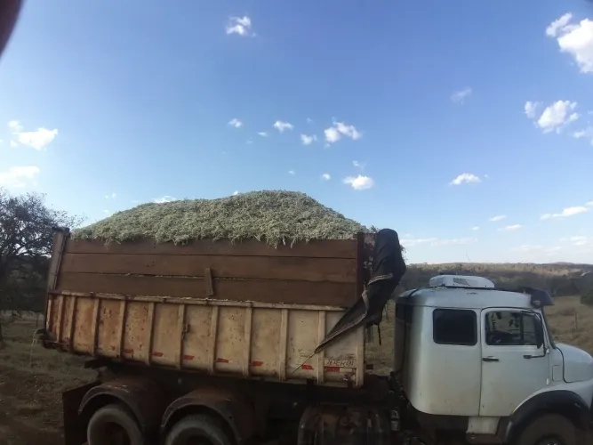 1519 caçamba truck mecânica toda do 1620