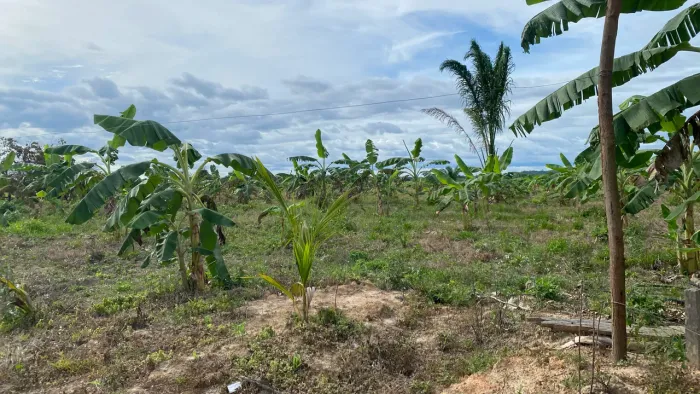 Paz e descanso Chácara à venda 16 linhas documentada 