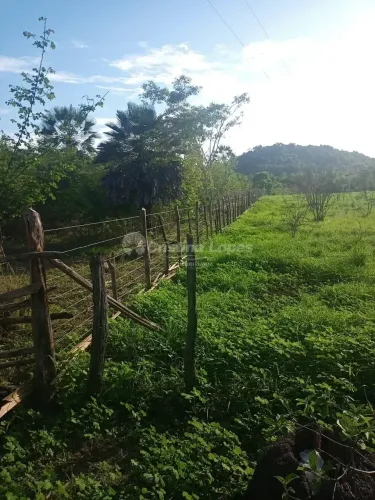 Terreno à venda, zona rural, Monsenhor Gil, PI