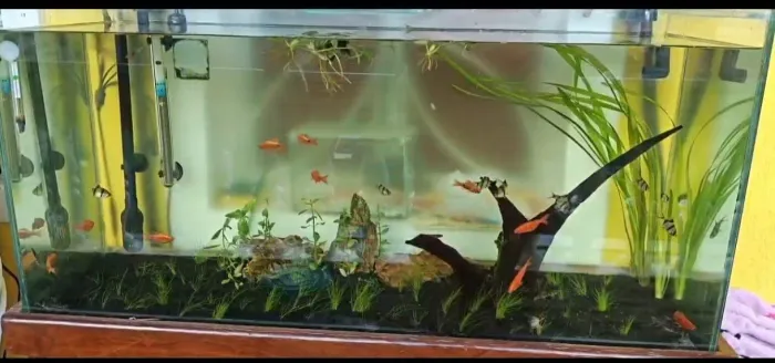 Aquário 130l