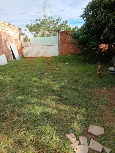 Limpeza de lotes e quintais com roçadeira. 