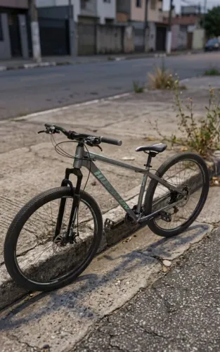 Bicicleta aro 29