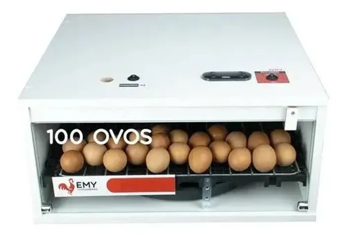 CHOCADEIRA 100 OVOS - SEMINOVA