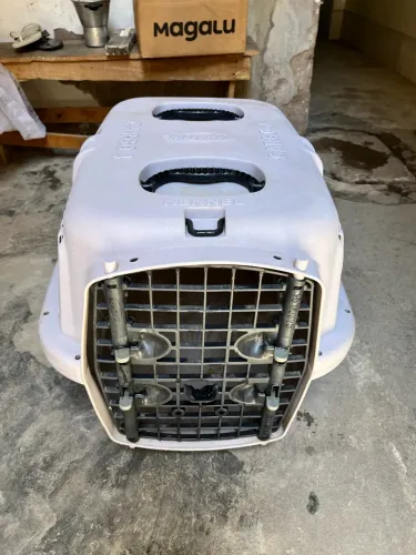 Casinha de cachorro 